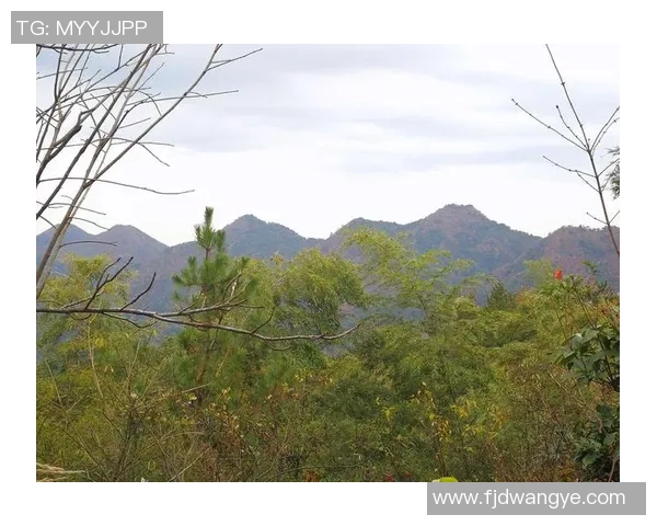 客山与奥伦堡的较量揭示了足球战术与团队合作的重要性 客山与奥伦堡的较量揭示了足球战术与团队合作的重要性